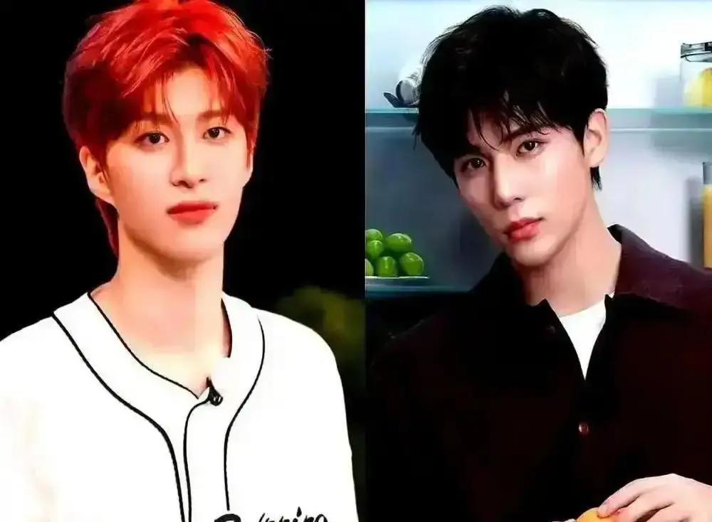 娱乐圈最残酷的真相：有人赚快钱，有人熬慢钱。范丞丞和王安宇，两条路摆在眼前