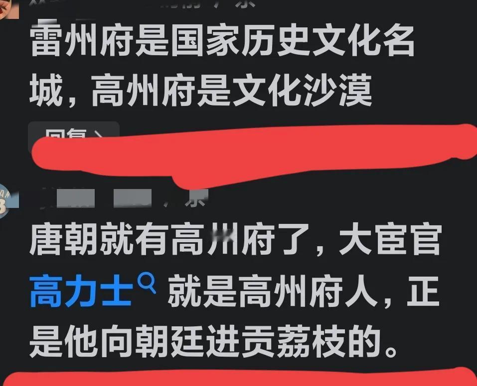 简直不知天高地厚，敢说这种话，好像雷州才是国家历史文化名城，高州就不是了似的。雷