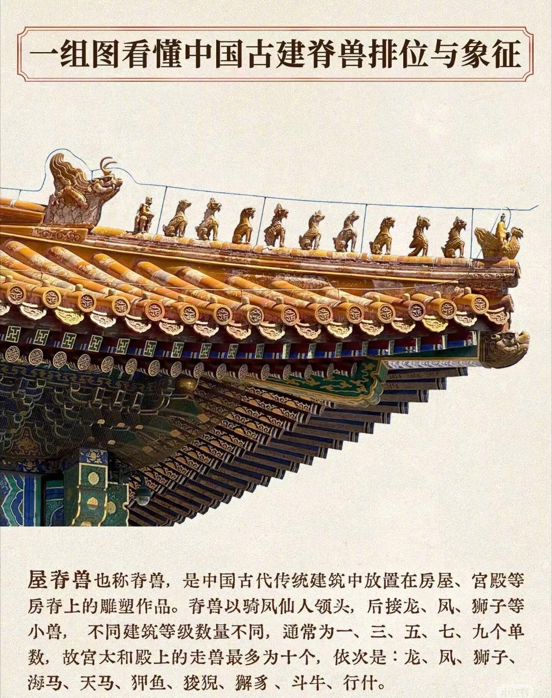 一图看懂五脊六兽[666]​​​