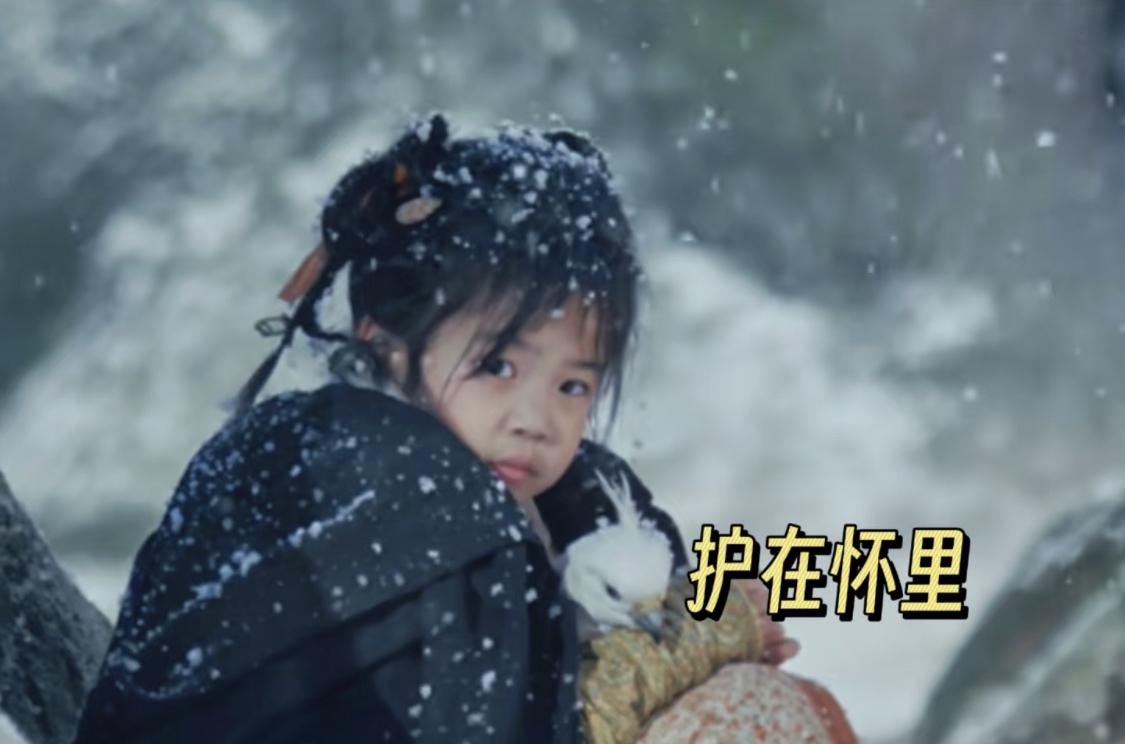 隼隼后来胖的飞不动了，谢征天天半夜给隼隼加训减肥。长宁把隼隼味得很好，每吨都