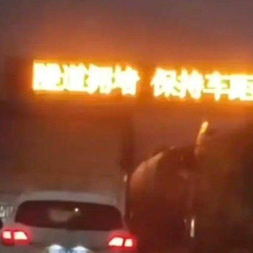 交警要求网友删事故视频还爆粗口？官方回应已处置争议炸锅！网友转发事故视频