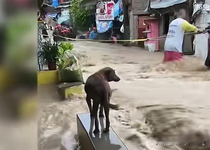 暴风雨来袭菲律宾，这次他们终于不会找我们伸手要救灾物资了吧！菲律宾国防部长刚