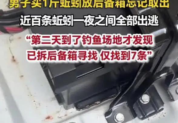 哭笑不得！男子买一斤蚯蚓准备钓鱼，一夜过后一条不剩一位钓友买回来整整一斤活蚯