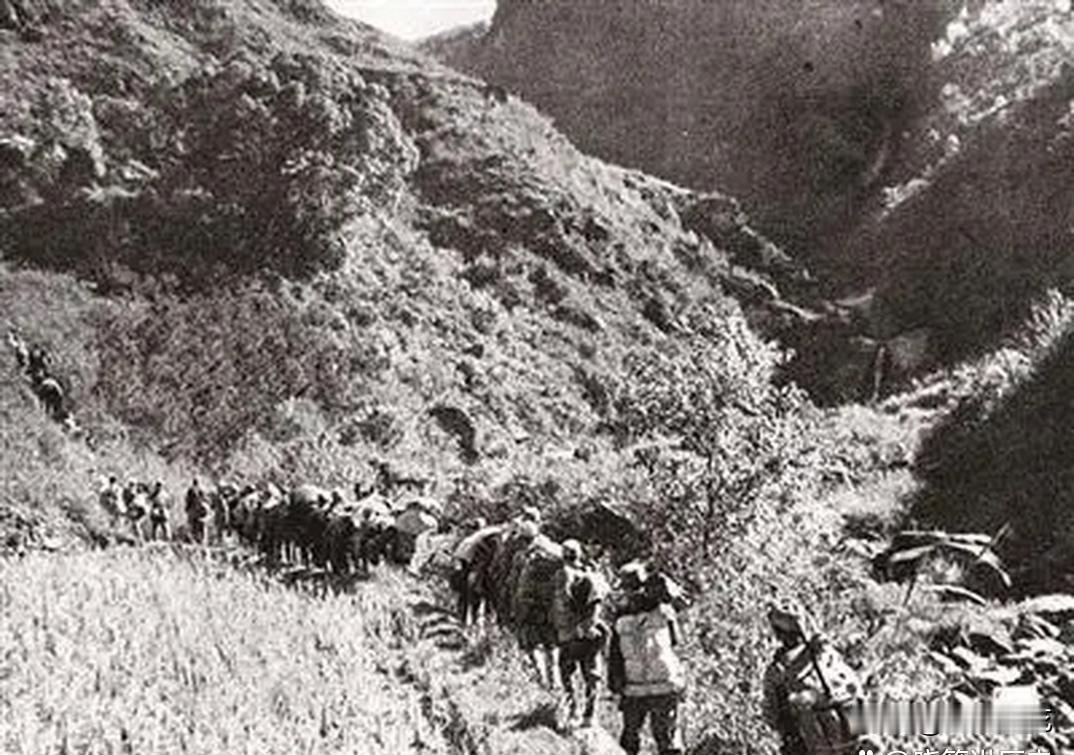 刘伯承元帅晚年向心腹秘书透露：1948年2月走出大别山时兵力折半，外界以为中野从