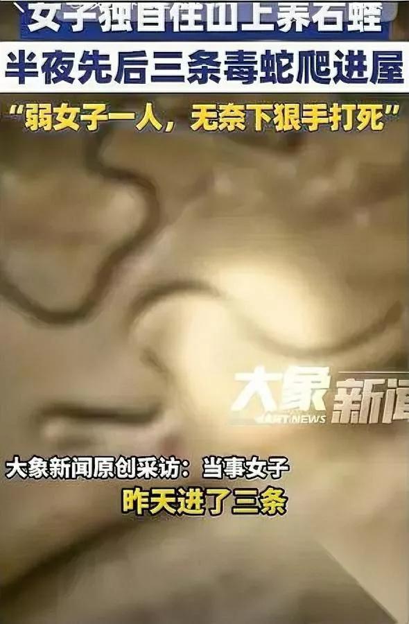 夜宿山坳遇毒蛇！她挥棍打死竟被骂残忍？湖南永州一女子在山坳看管石蛙，睡前