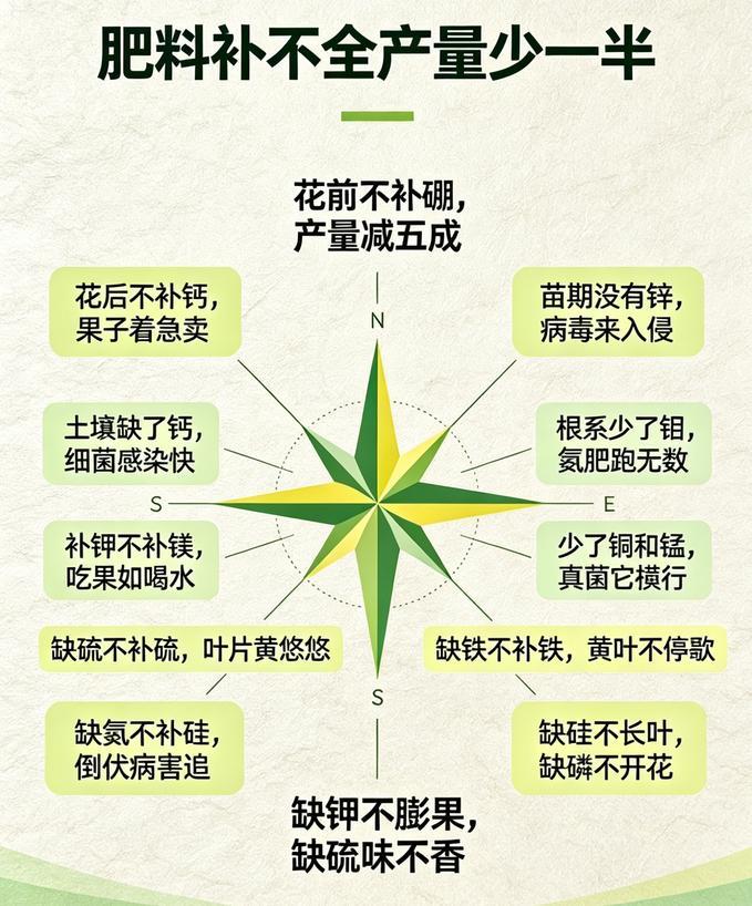 肥料不是撒得越多越好！各元素用对时机，产量提升农作物你是不是也这样：一袋复合肥