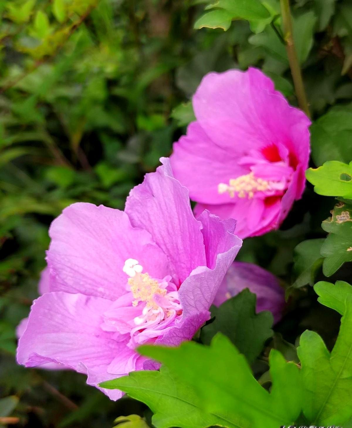 我有一个朋友，问我存款。他说他有个朋友做个项目很赚钱，投钱分股份。他自己也投