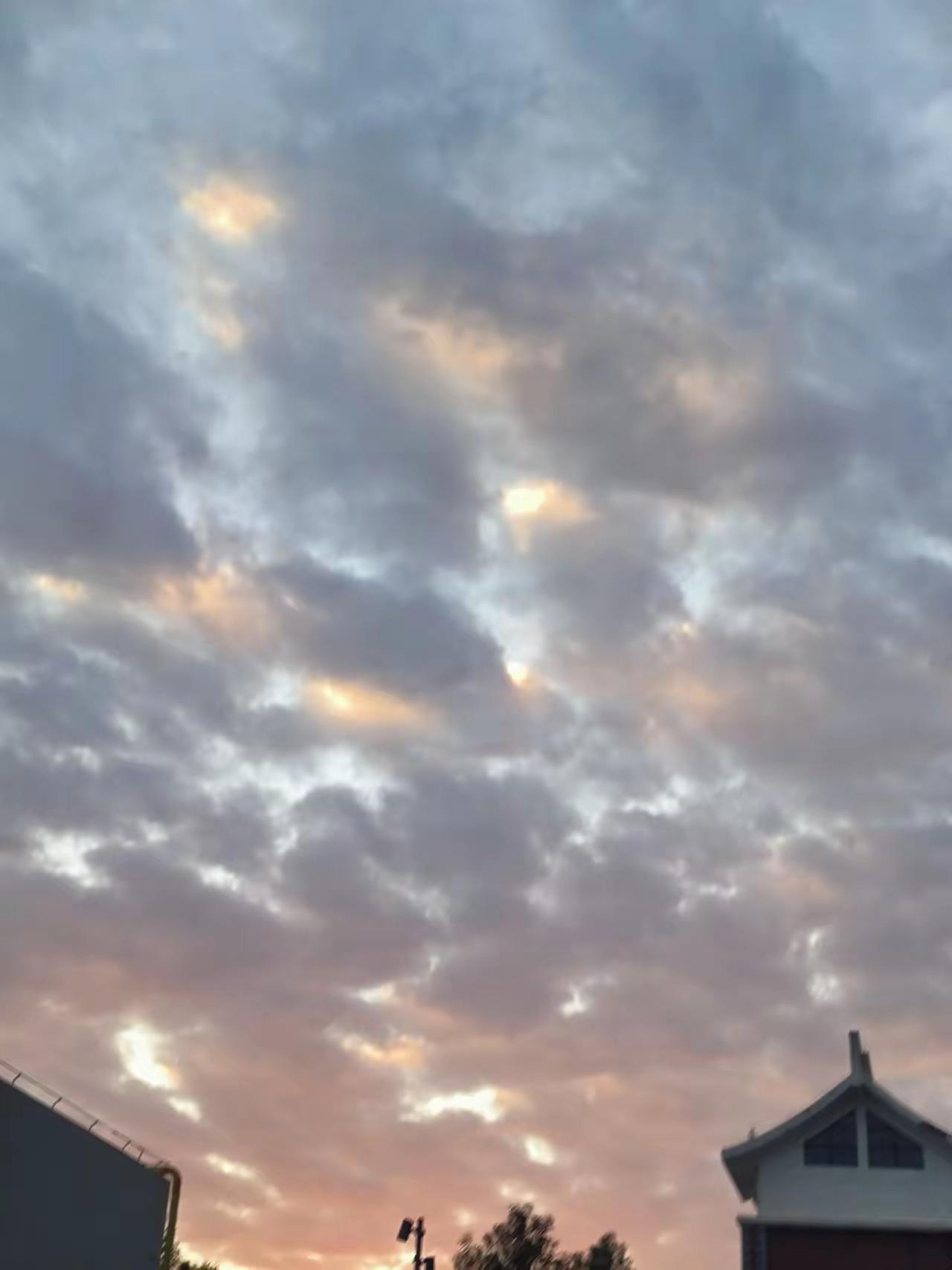 我姐夫，一个公认的老实人，在发现姐姐出轨后，竟然没摊牌也没声张。等到结婚纪念日那