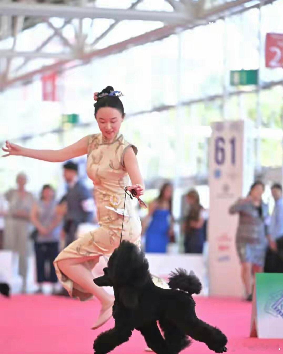 霍思燕家的鸟又夺冠了，她家的狗和鸟都不能休息啊，御兽宗长老吧