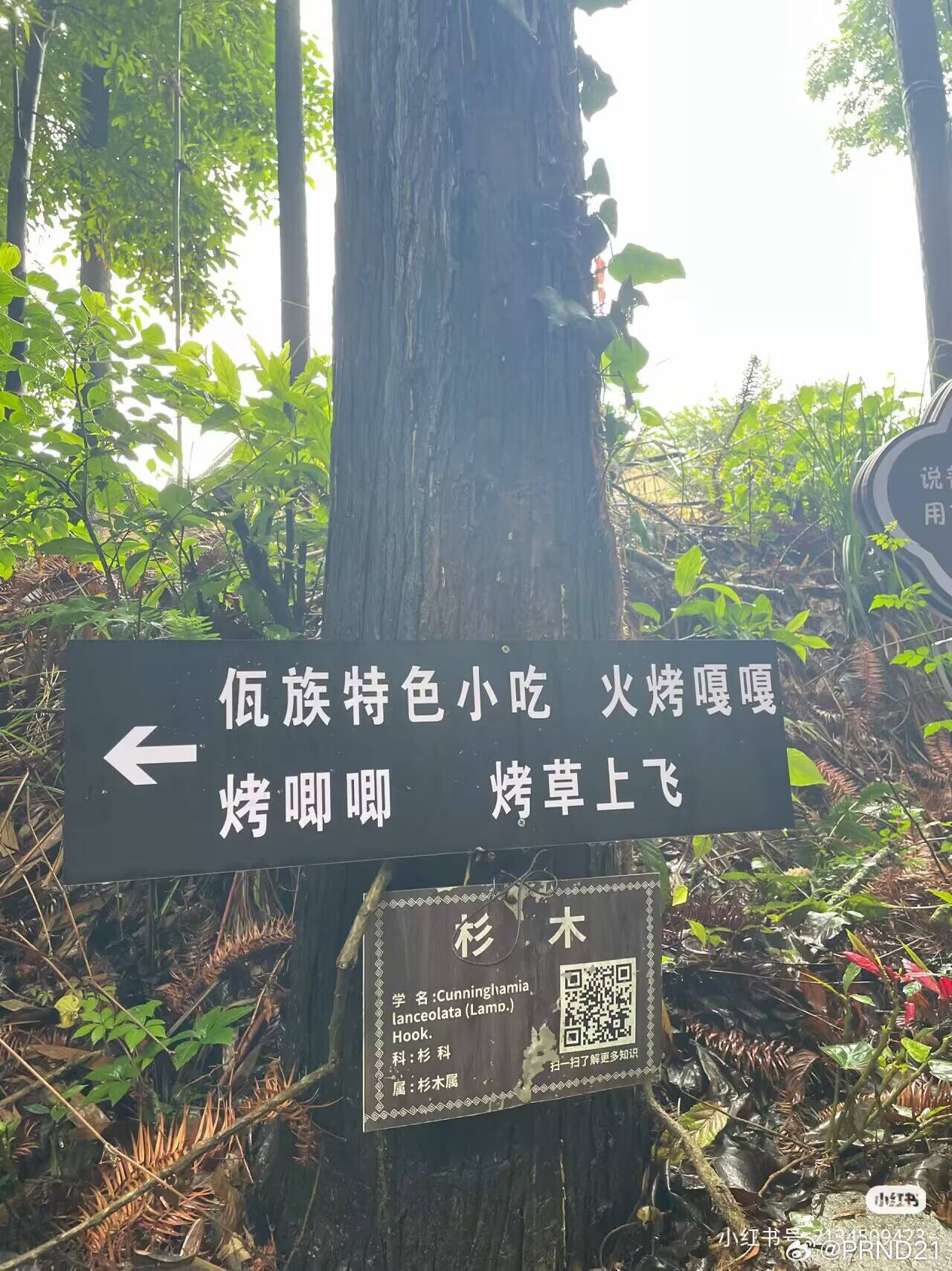 群里看的，论方言的歧义宽度……