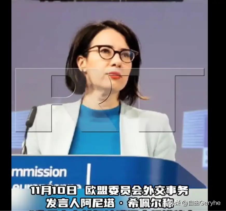 欧盟双标言论笑掉大牙！妄批台海军演危及和平暴露巨婴本质欧盟外交政策发言人希
