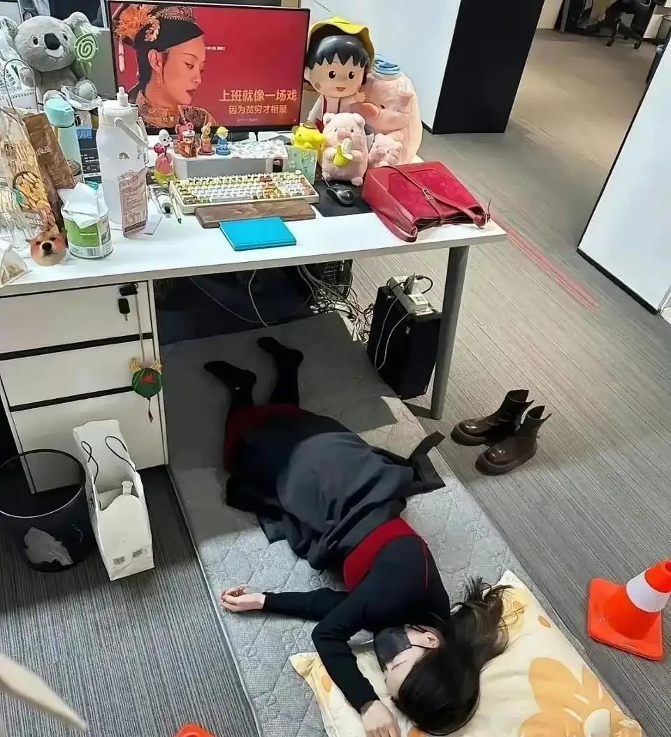 别人是午休，你这是午睡啊！厉害了我的姐姐