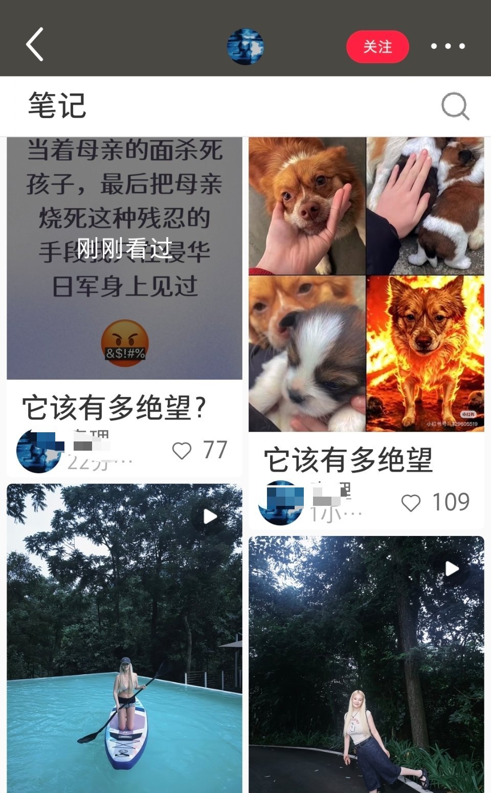 仙女不同情人类，她只同情狗
