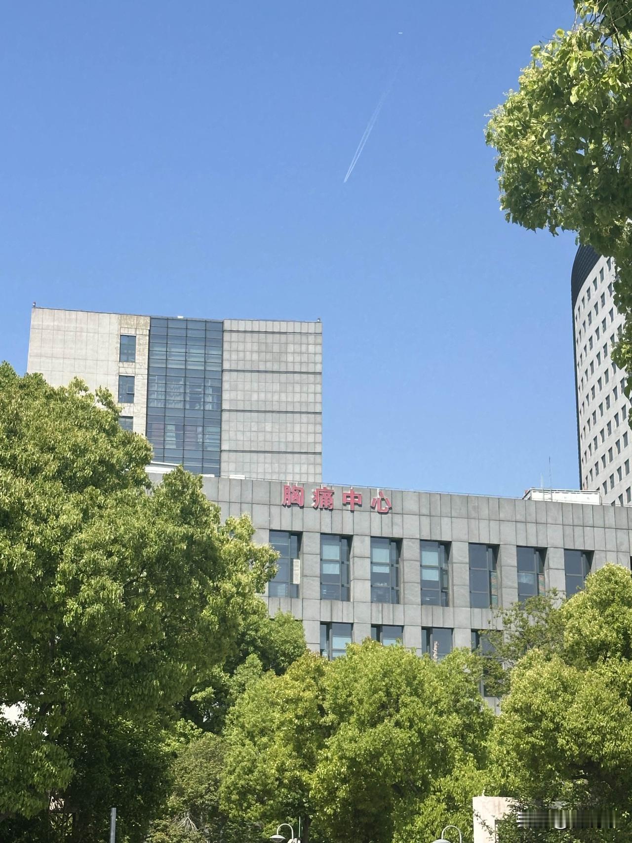 小红书这种平台说真的是早就该被封的。里面不婚不育的帖子超有流量，影响了大批年