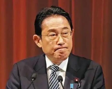 日本的情报网在中国，早已走到尽头。从军港非法测绘到基因图像偷运，从歼-20涂层配