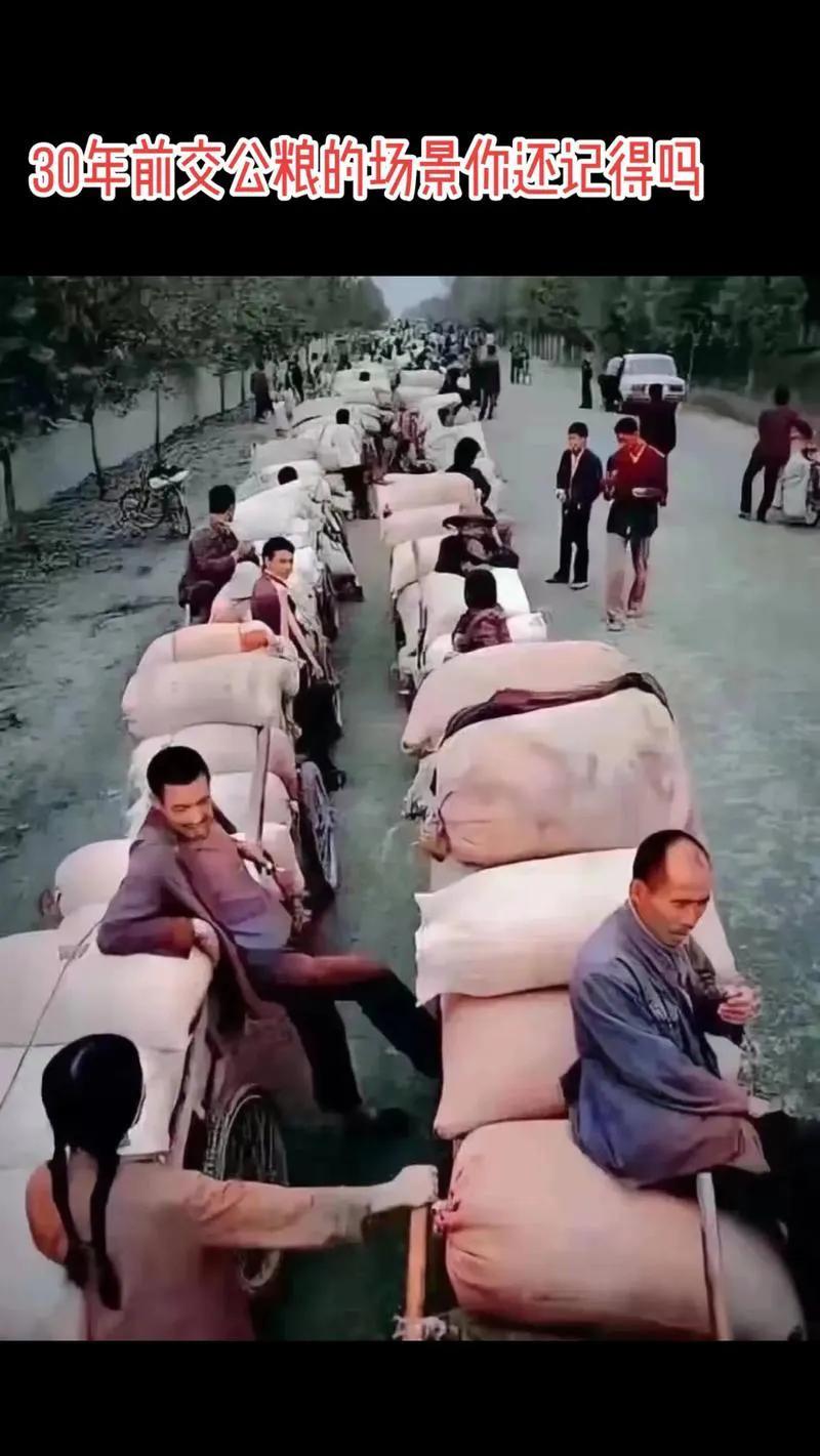 《公粮能不能顶社保？》我认为公粮不但能顶社保而是最该顶社保，不管是农业税还是出的