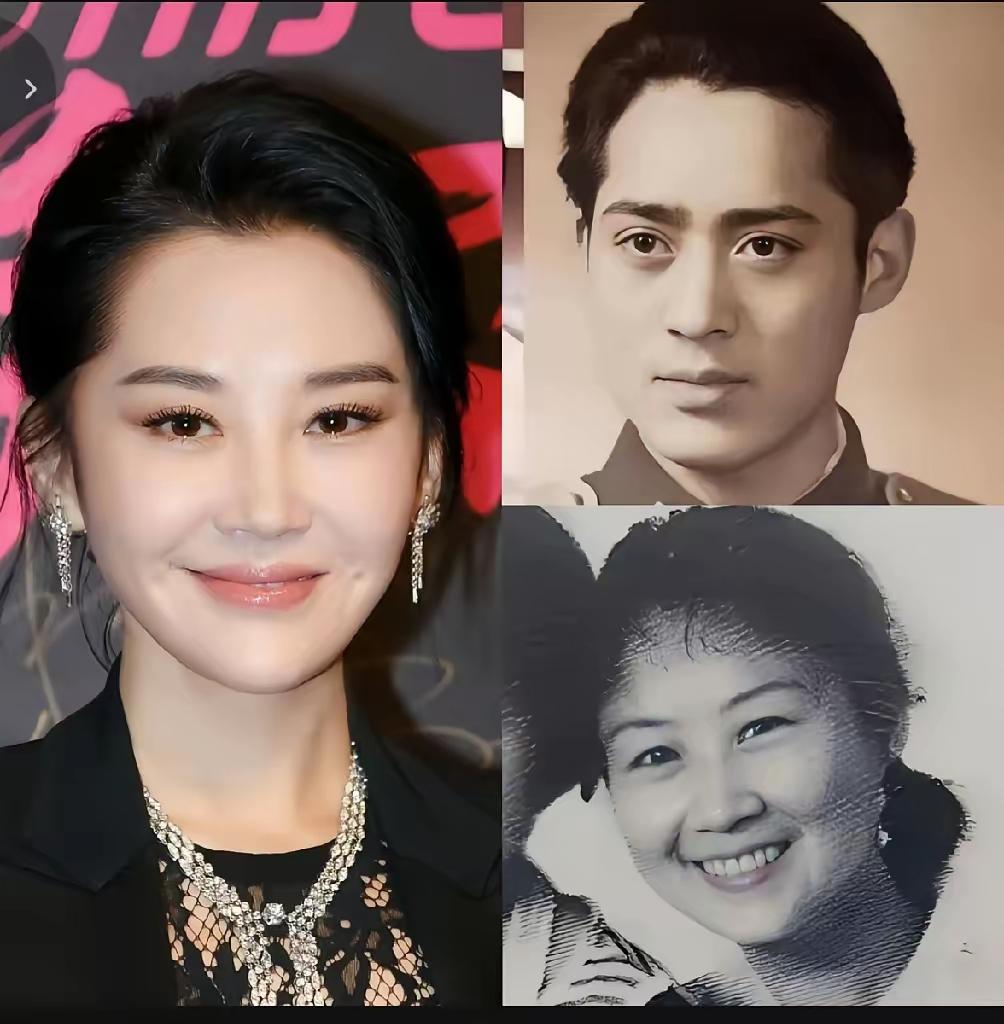 资深美女许晴像父亲多一些还是像母亲多一些？不怕老的女明星不老女神风采许