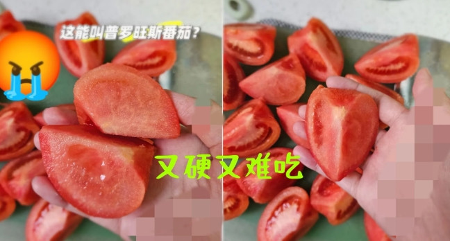 专家搞砸西红柿？引进品种又硬又没味，怀念40年前沙沙酸甜老品种！普罗旺斯凭啥卖高价？