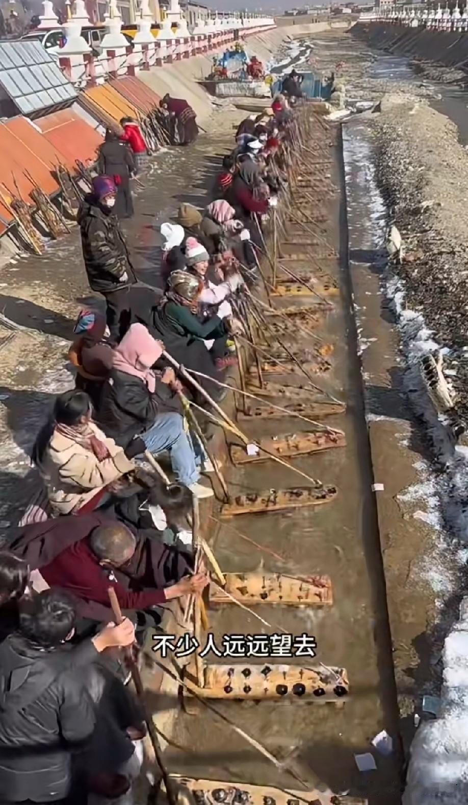 这是在干嘛？是什么奇特的习惯？