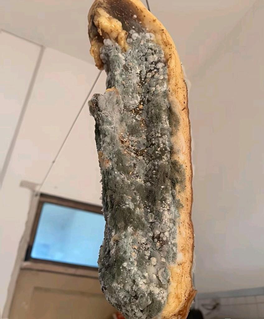 邻居真恶心！昨天邻居到我妈家串门，给我家拿了一块腊肉，说是他亲戚寄来的，自己都舍