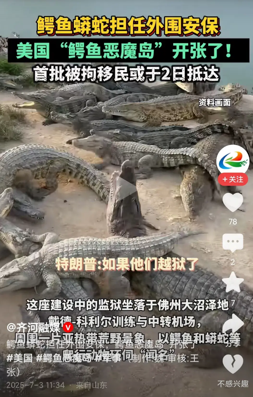 真的没有想过到美国会在监狱的外围释放饲养大量鳄鱼和蟒蛇，任何越狱者必经过鳄鱼岛和