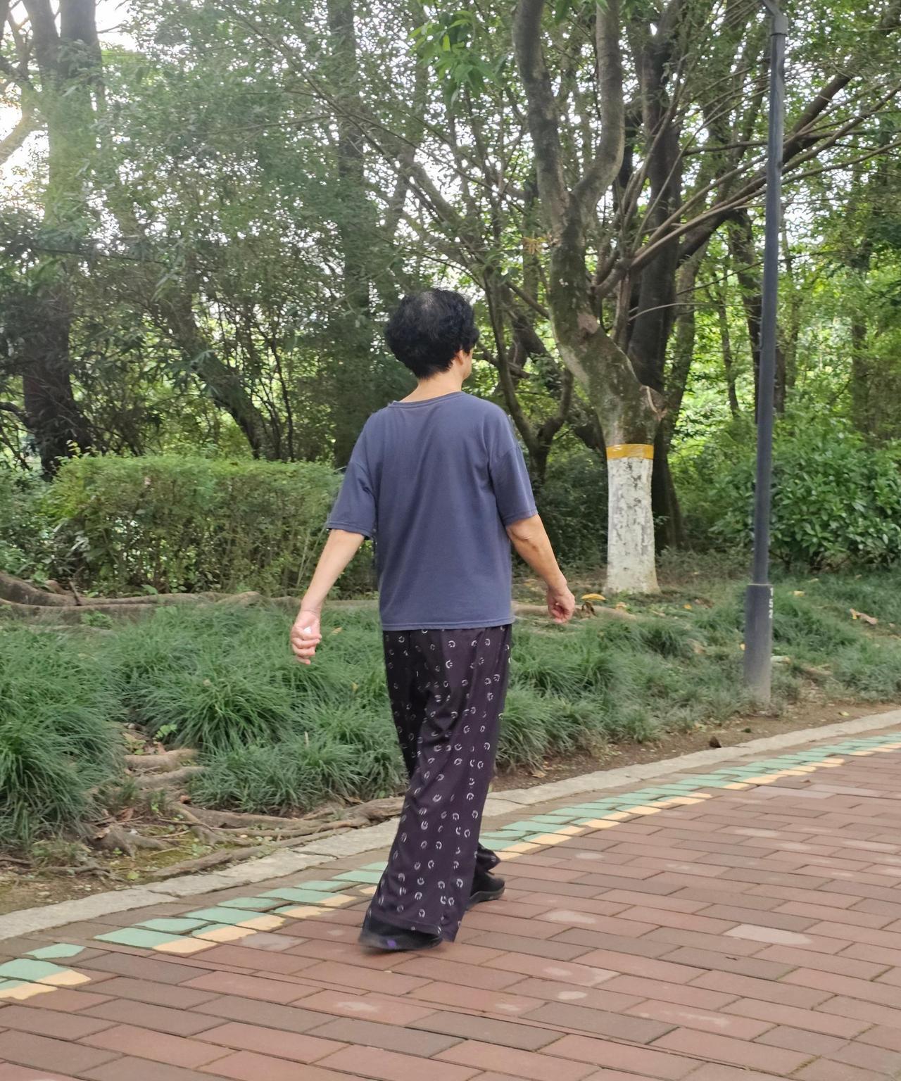 姑姑打来电话，语气里带着几分无奈，让我劝劝我妈，说都是一家人，何必揪着过去不放。