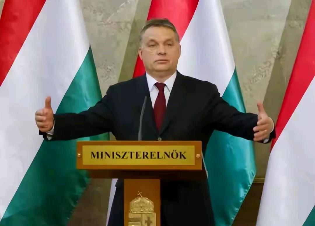 “别总盯着普京，先救好自己的国家！”当地时间4月2日，匈牙利总理欧尔班与波兰总理