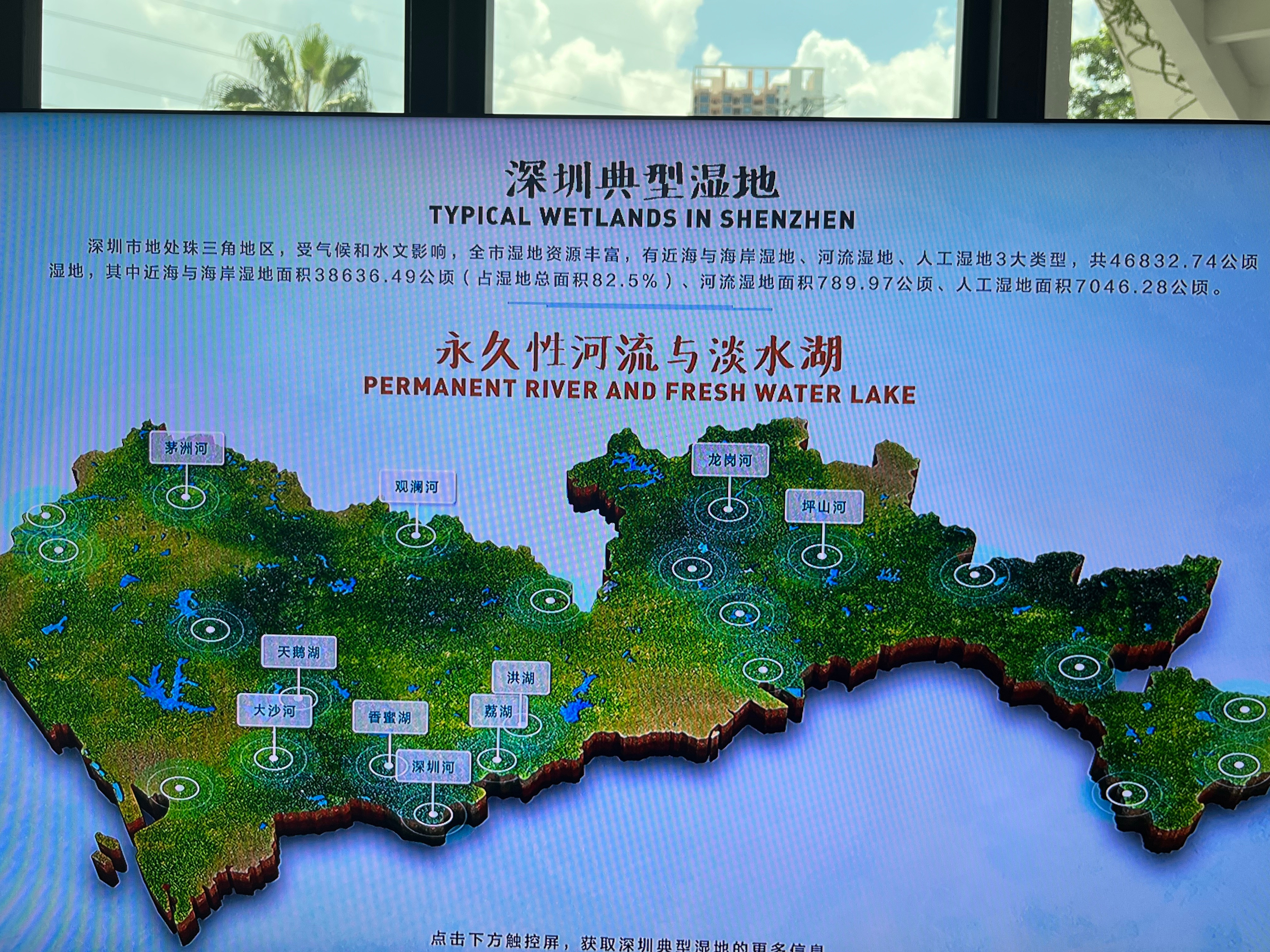 在深圳遇见绿色未来当2026年APEC聚焦绿色亚太，福田红树林生态公园，便是深圳