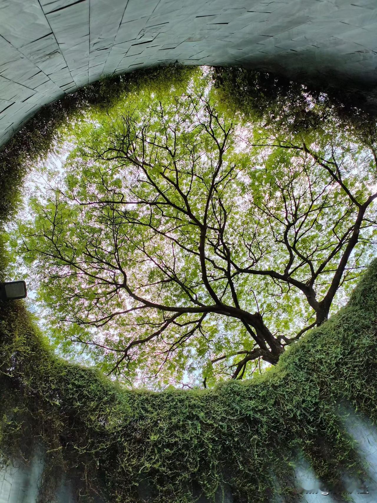 聪明人五不晒！ 1.不晒经济俗话说：财不外露，不管关系有多好，也不要轻易透