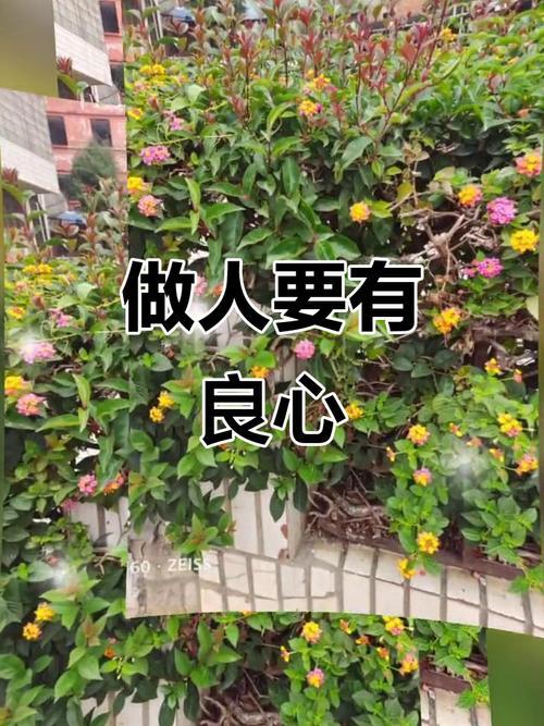 善良没让我大富大贵，却让我在烂人烂事里，守住了最干净的自己。它给不了捷径和