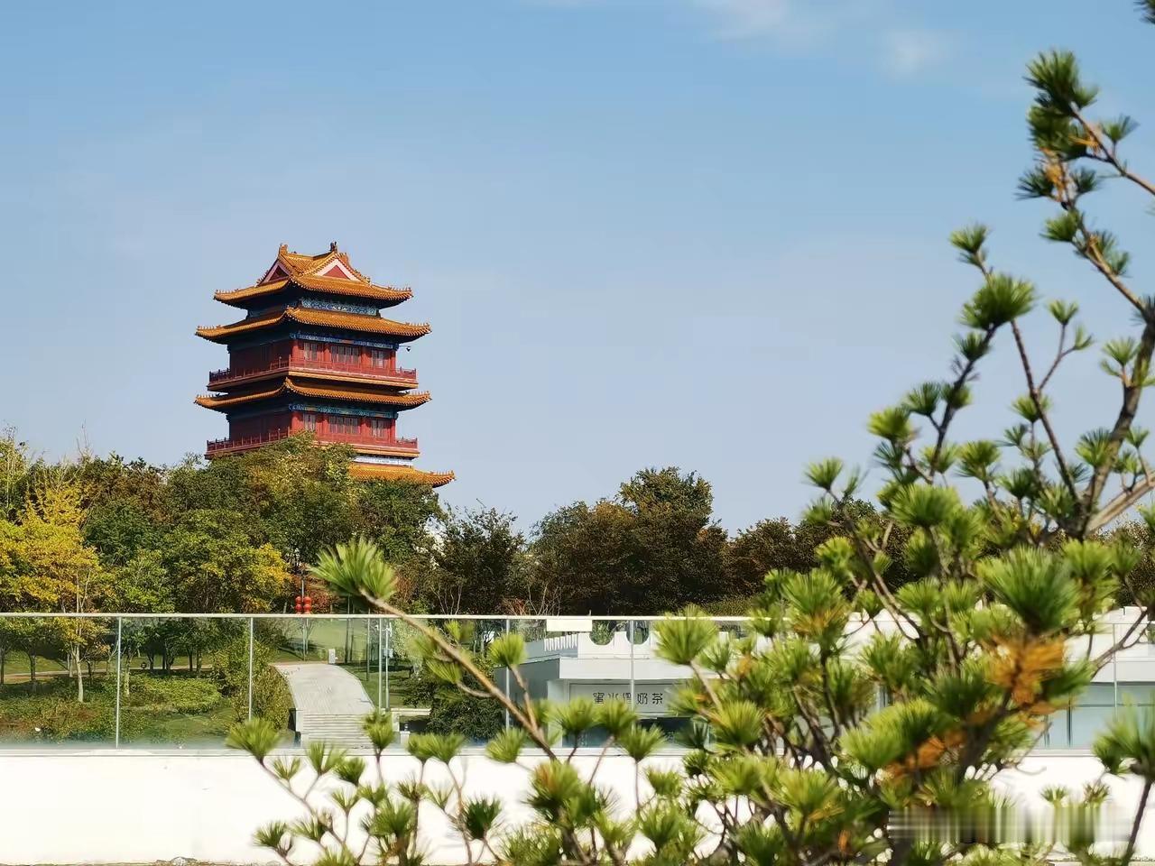 初来山东济宁，会感觉有些地方怪怪的（不是贬义啊）满大街都是那种小三轮，小四轮，