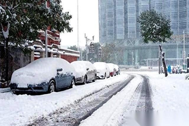 好家伙，刚还在纠结双十一要不要囤点厚袜子，天气预报直接把答案拍我脸上了。大暴雪