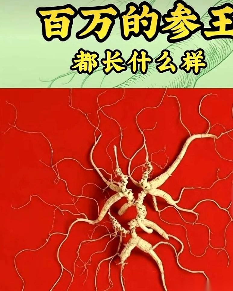 真的，有些事儿，就是一巴掌扇在你脸上，你都反应不过来疼。就那么个破股票，紫金矿