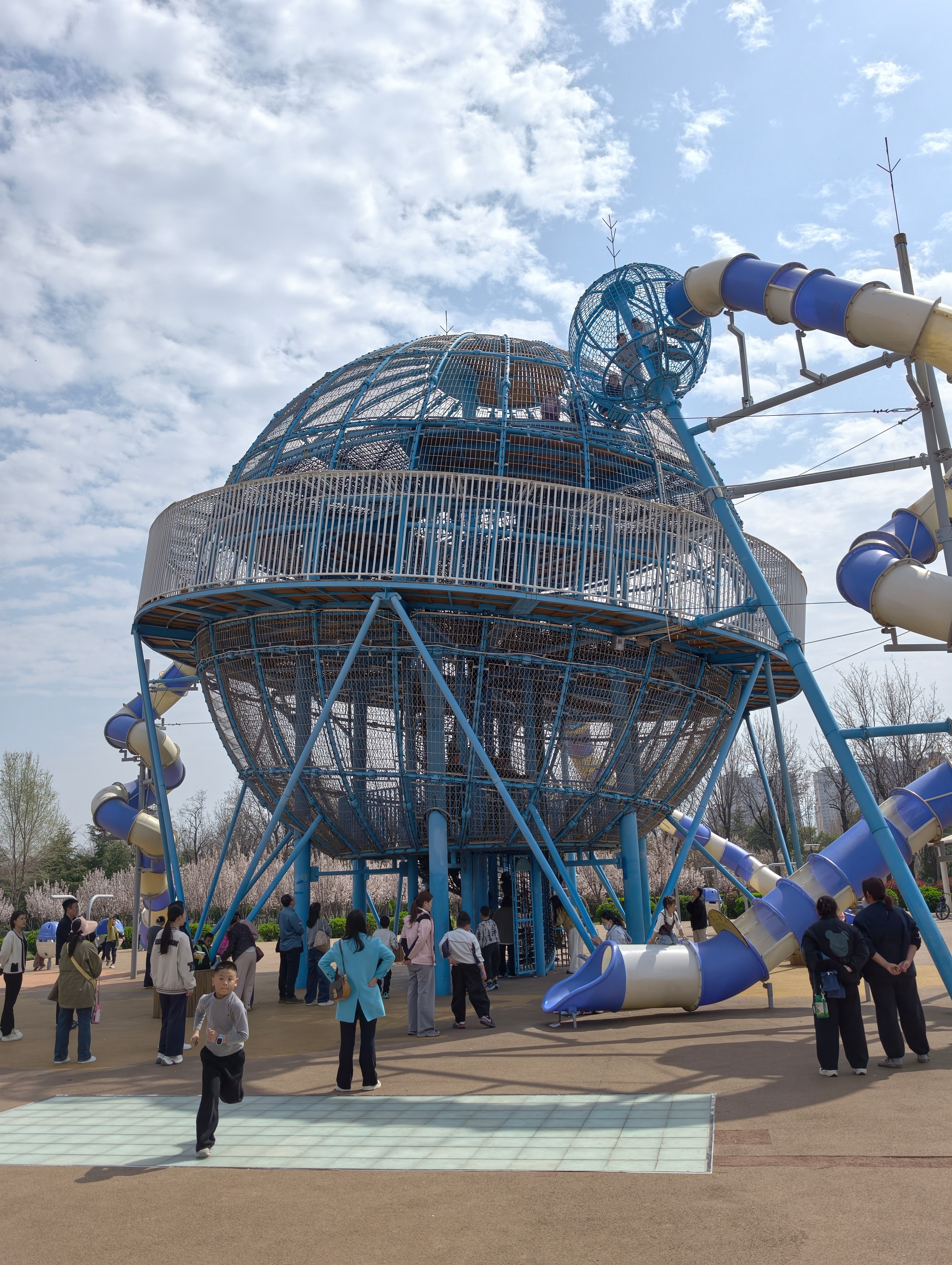 好久没自己带二喵再不陪真的就长大了真是