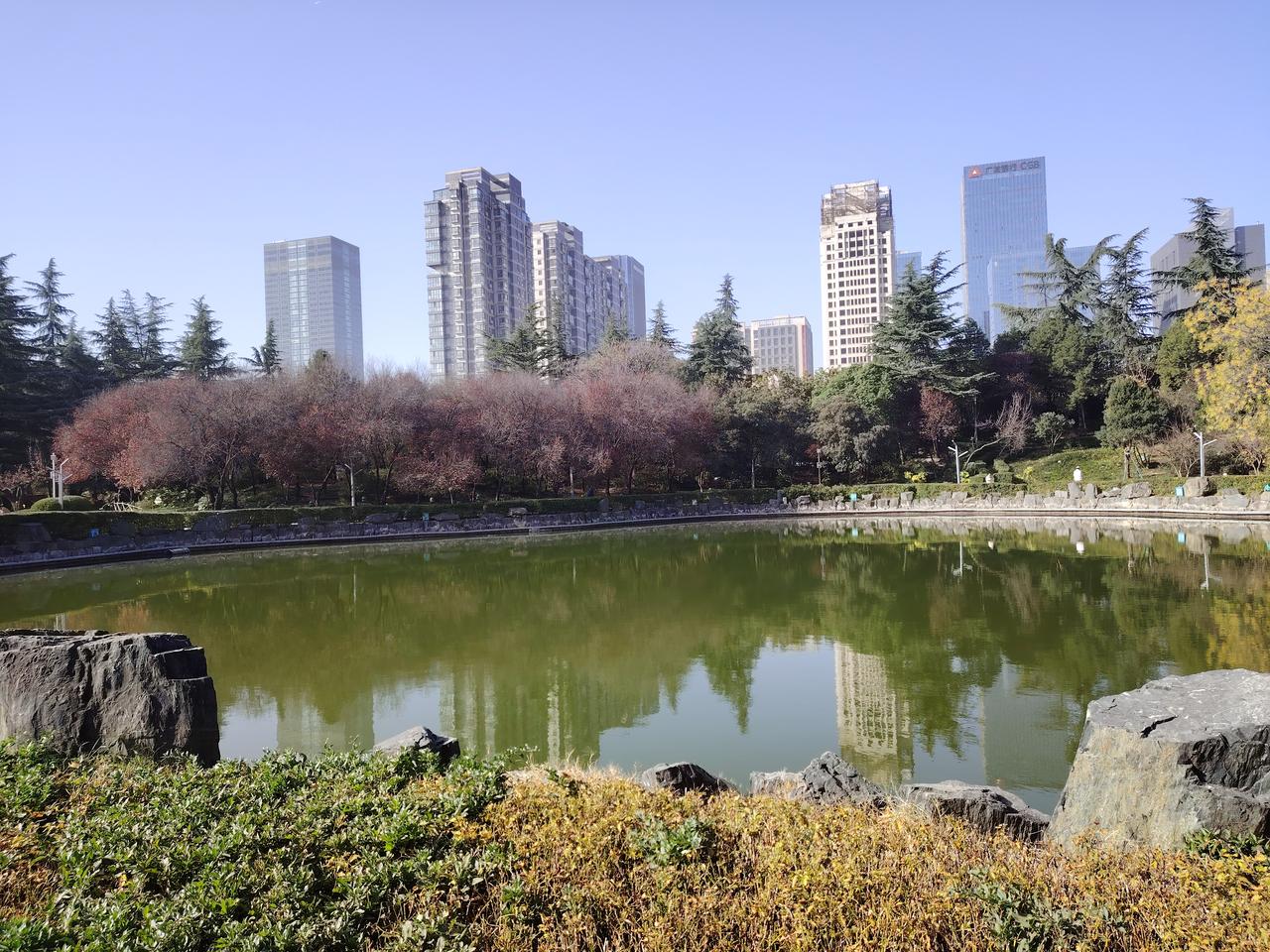 煮熟的鸭子飞了，是默默咽下苦水，还是甩手不干？袁老师长期担任一所乡村初中的副校长