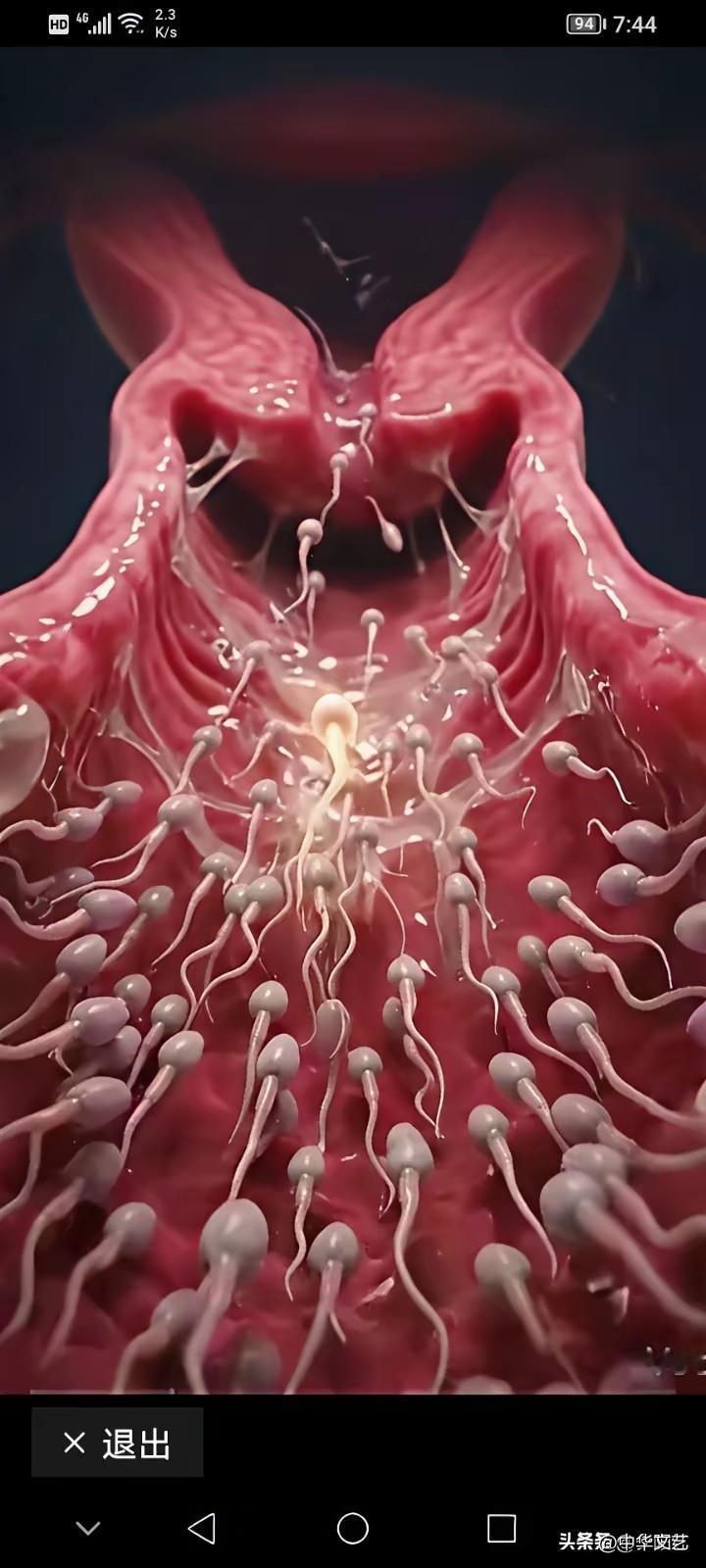 生命的起源