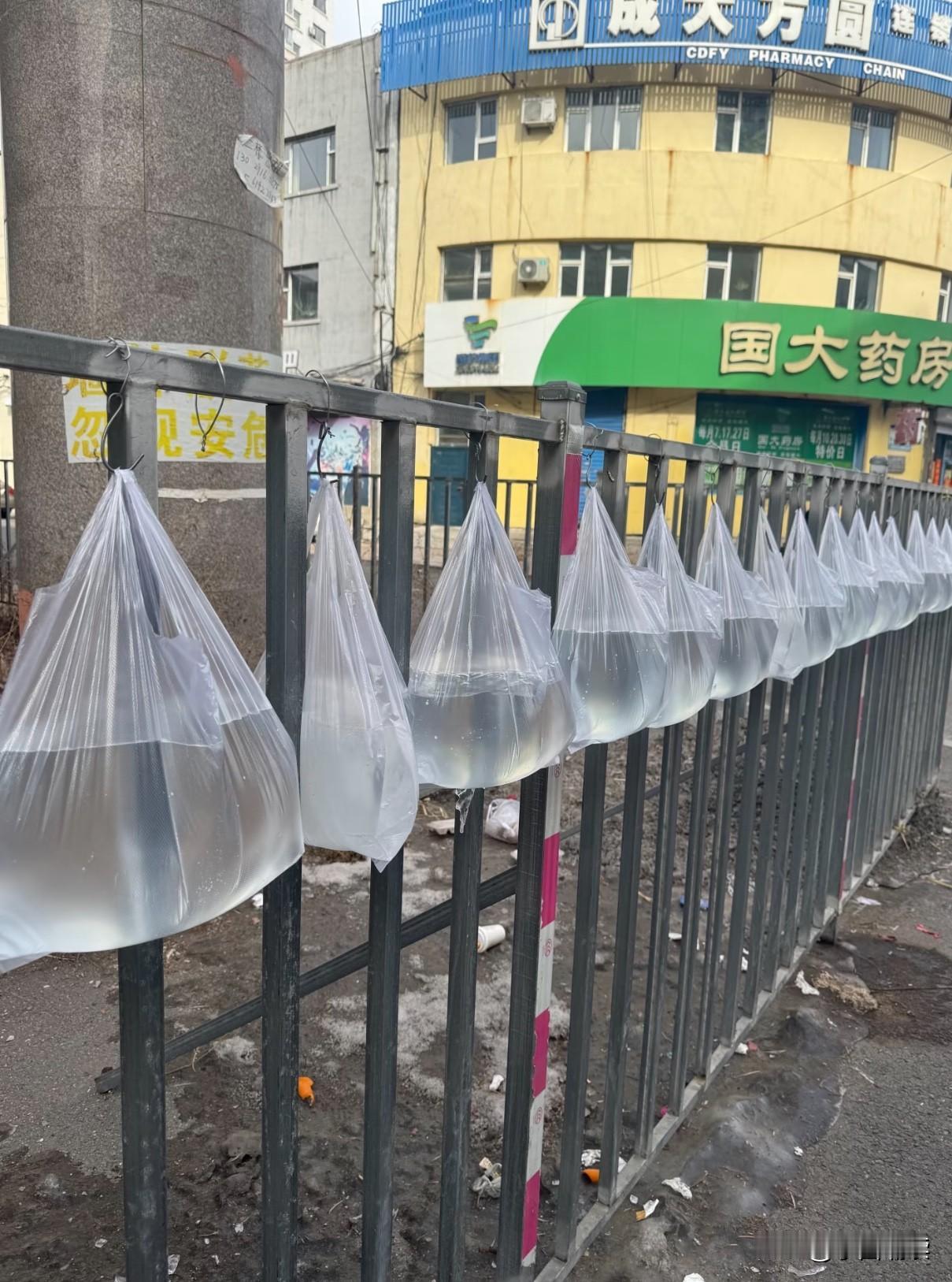 牛啊，看看这北方制作冰块多简单啊，根本不需要冰柜不需要电，室外这么一挂就行，而且