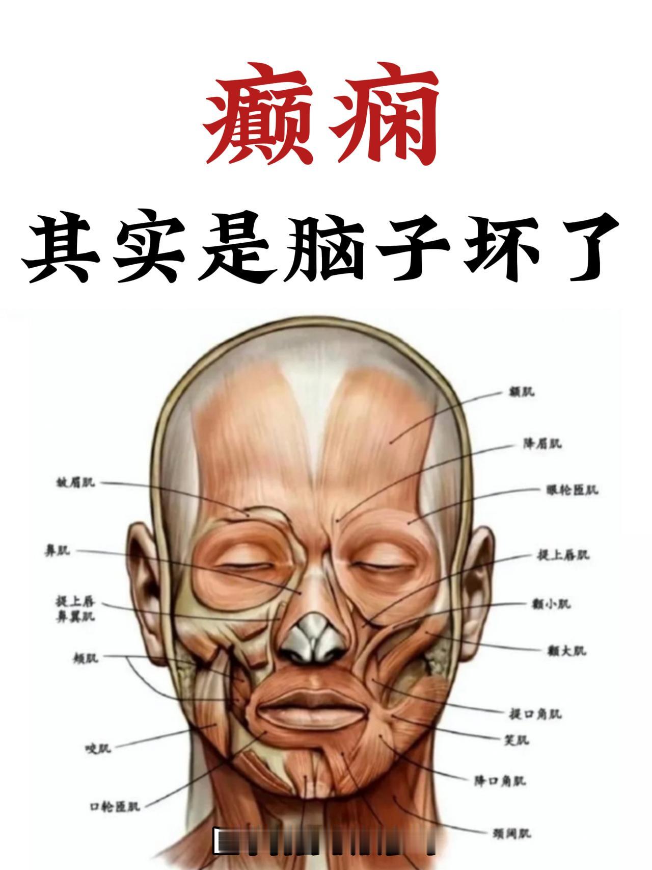 在一次偶然的机会中，我遇到了一位隐居山林的老中医，他对颠闲的理解却与众不同。当我