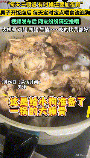 这个老板格局大！天津，男子自开饭店以后，每天定时定点投喂流浪狗，每天三顿饭，有时