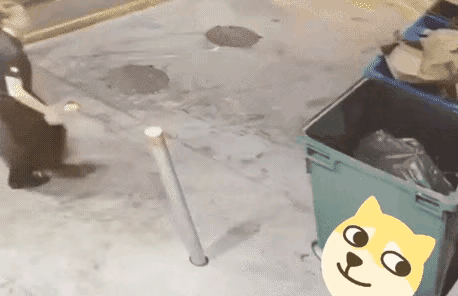 好好丢不行非要弄一地