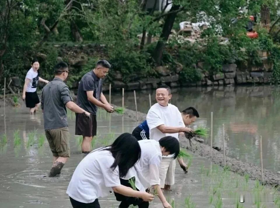 你见过一群平时穿着西装、满嘴“战略”、“生态”的互联网大佬，光着脚踩在泥地里，弯