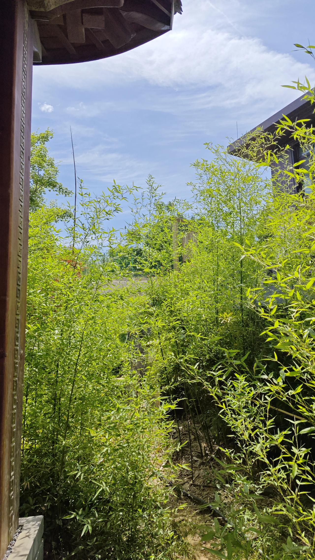 孩子重要考试前三天这样做一位带过20届高三的老教师说：考前三天，最毁孩子的不