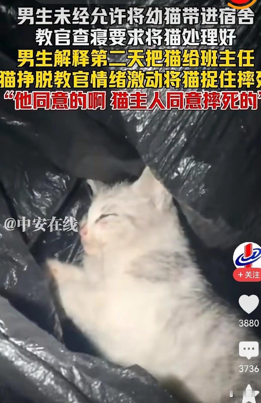 近日，湖南湘西一职校内，只因为一男生未经允许将猫咪带进宿舍。查岗的教官发现了猫咪