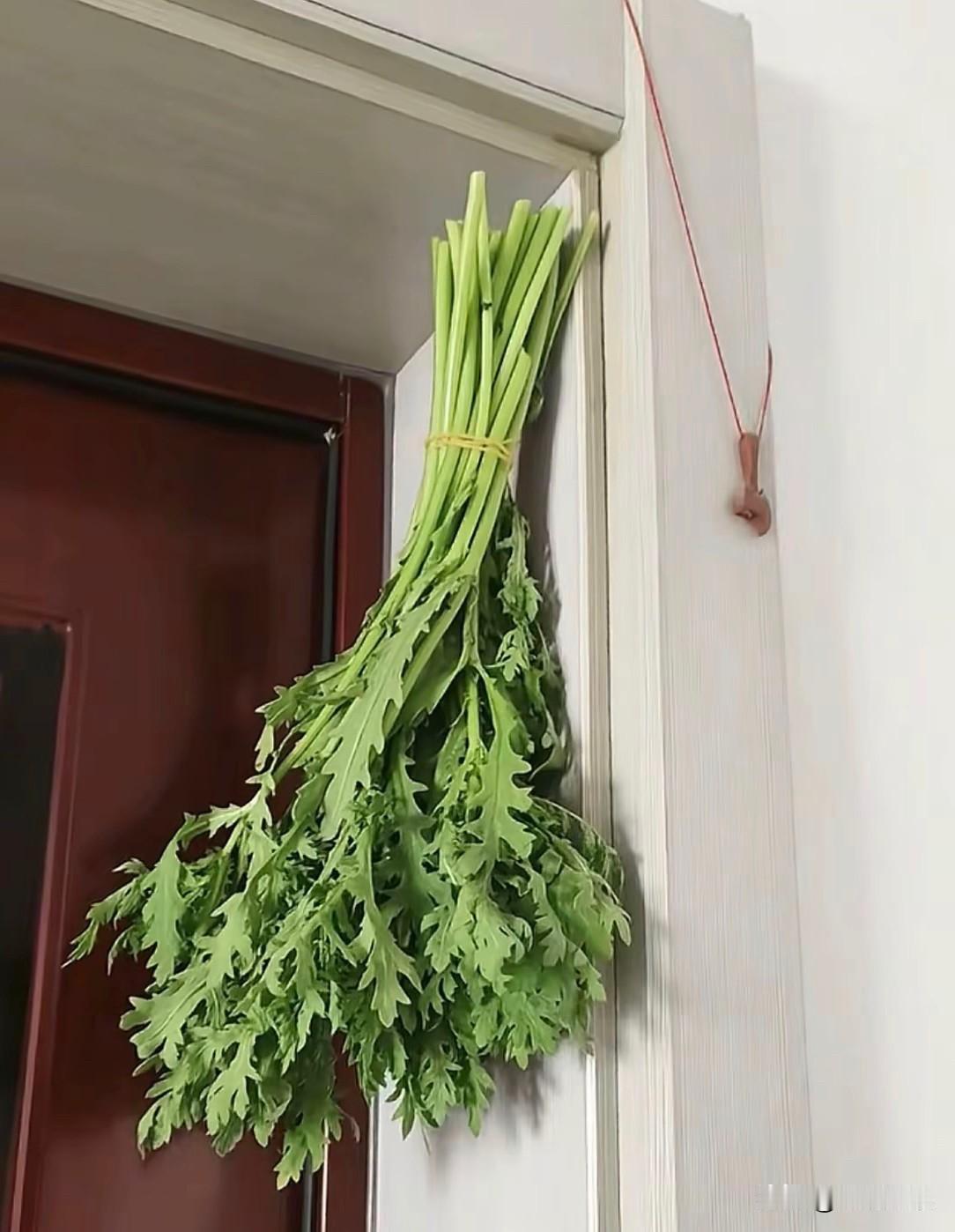 开始挂的进门左边有人说错了，现在挂在进门的右边总该对了吧端午节