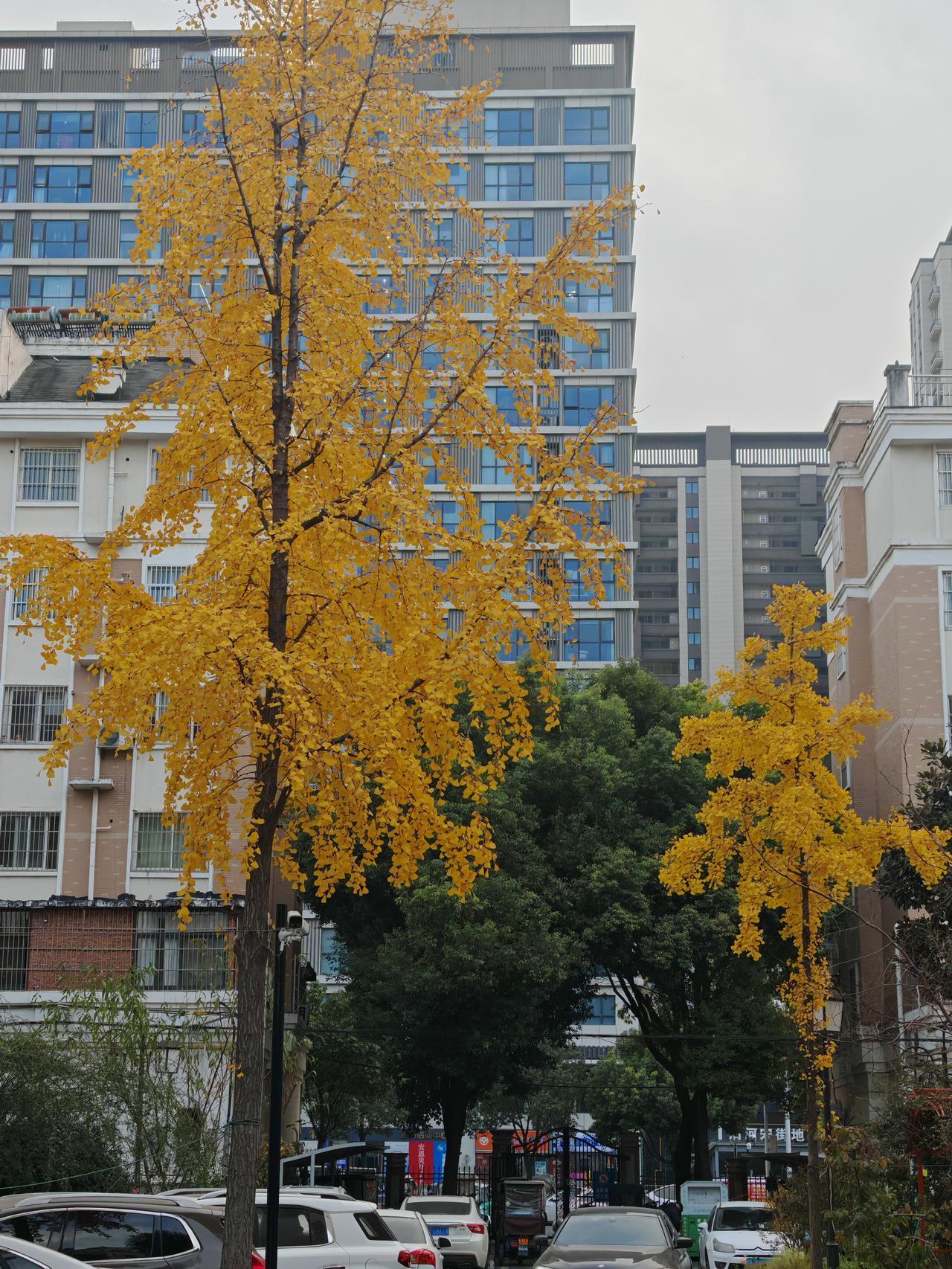 生活就像一场充满未知的旅程，有忙碌疲惫，也有简单快乐。好的东西总像压箱底的宝贝，