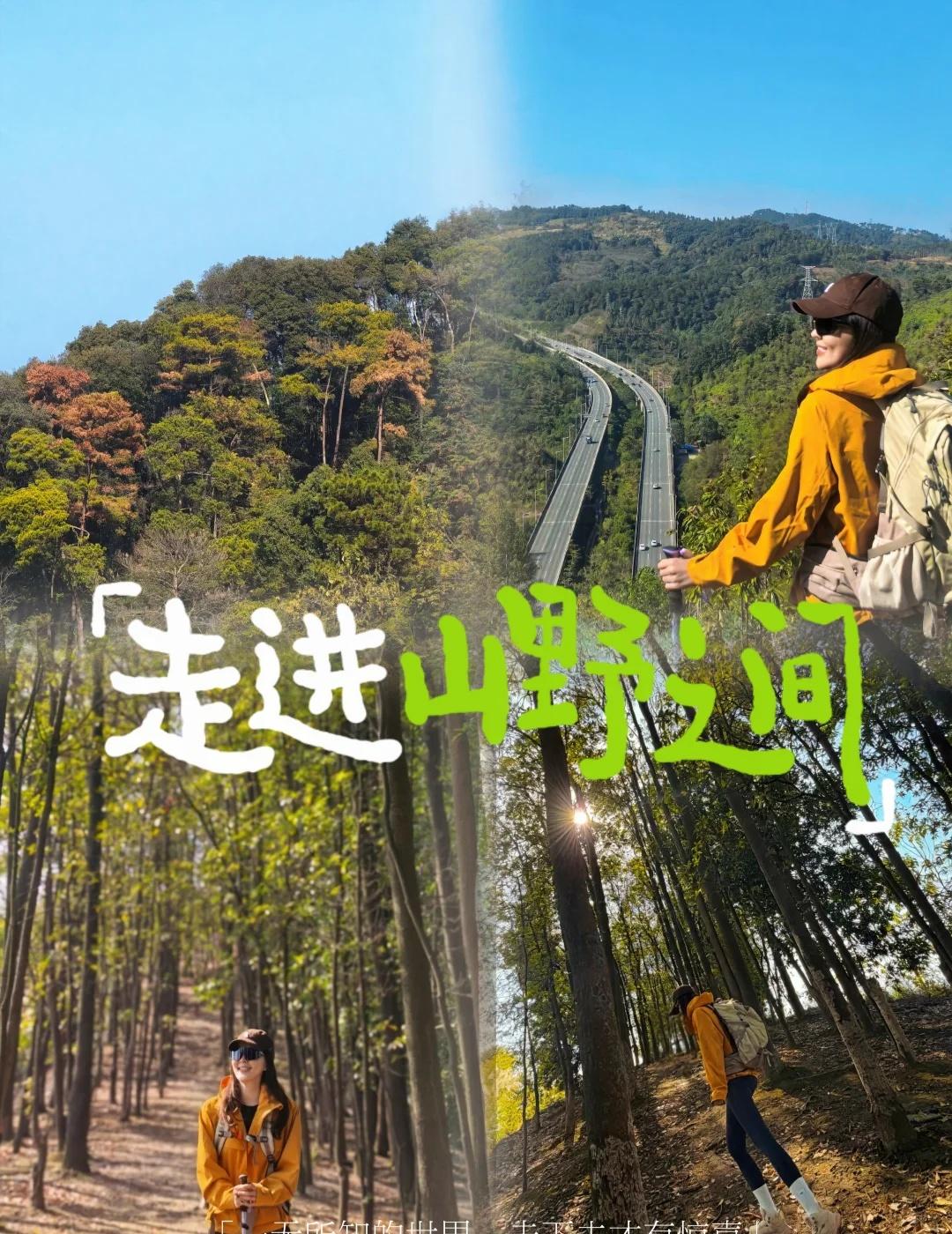 坝洲坪8km徒步🍀走下去才有惊喜在柳州想找一条不累又好看的徒步路线，推