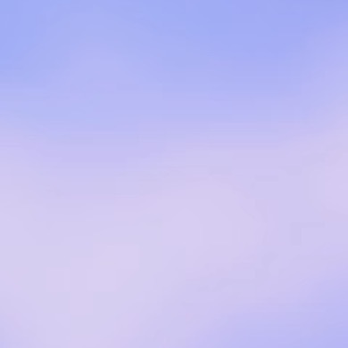 0000蓝花楹种植1、土壤选择深厚肥沃且排水性良好的微酸性沙质土壤，为蓝花楹日后