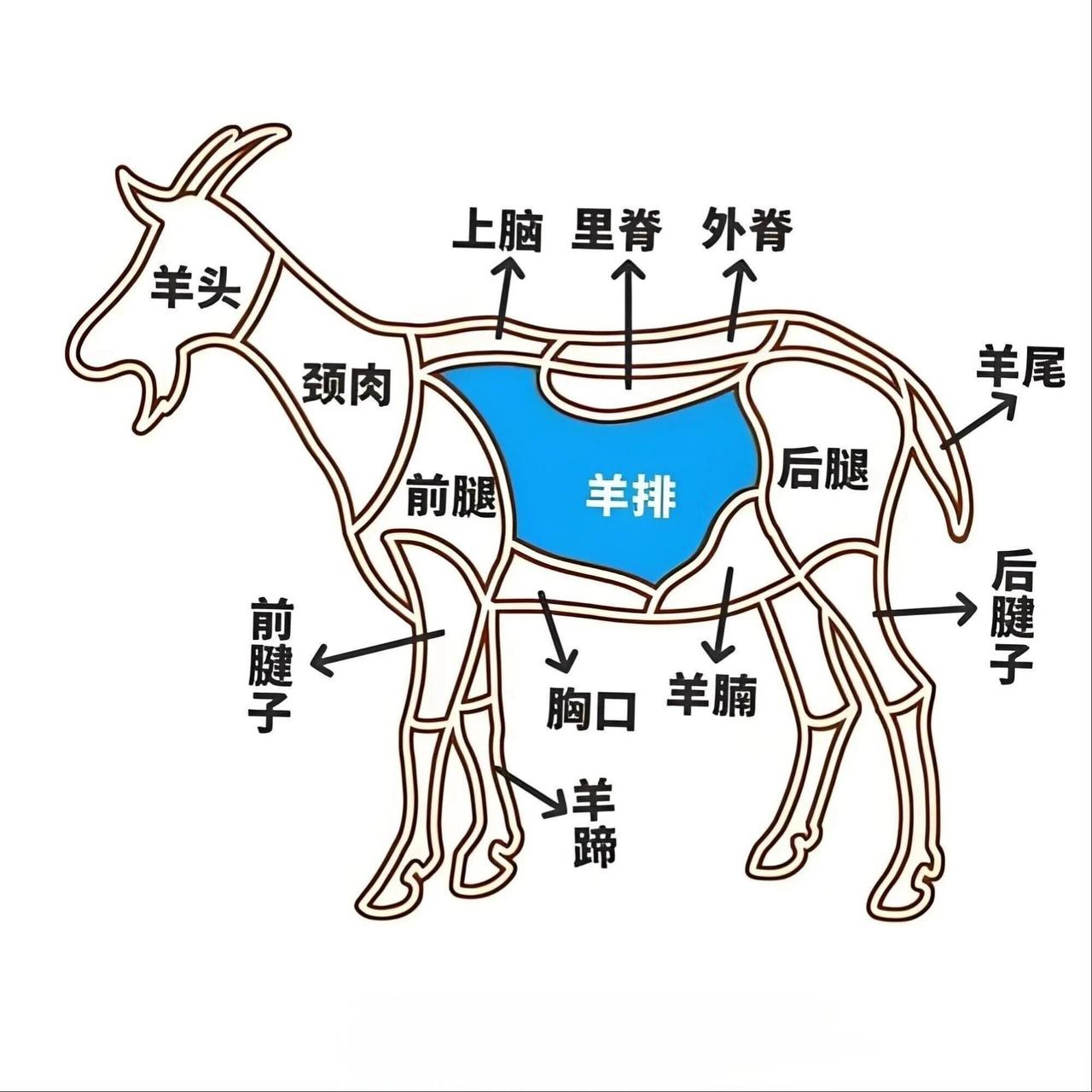 各位朋友们，马年大吉，新年喜乐！之前给大家分享的牛肉分解图，没想到那么受大伙欢