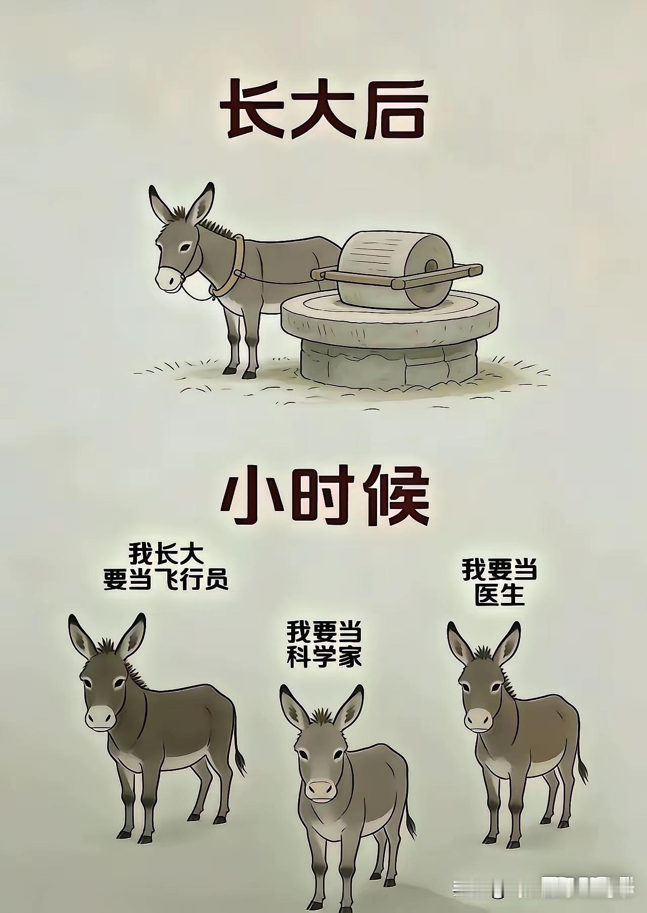 谁生下来不想好！想快乐的长大！想考个好大学！想找个好工作！想娶个好媳妇！想高官得