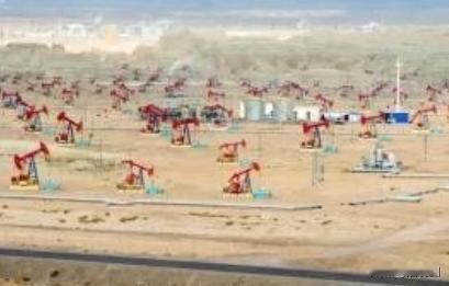 “这回中国绝对是脑子进水了，等着把底裤都赔光吧！”当年，面对中国豪掷50亿美元接